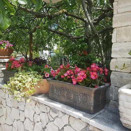 Apartment Adis *
